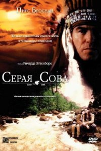 Серая сова смотреть фильмы онлайн