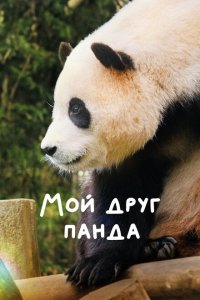 Мой друг панда смотреть фильмы онлайн