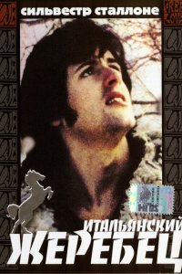 Итальянский жеребец смотреть фильмы онлайн